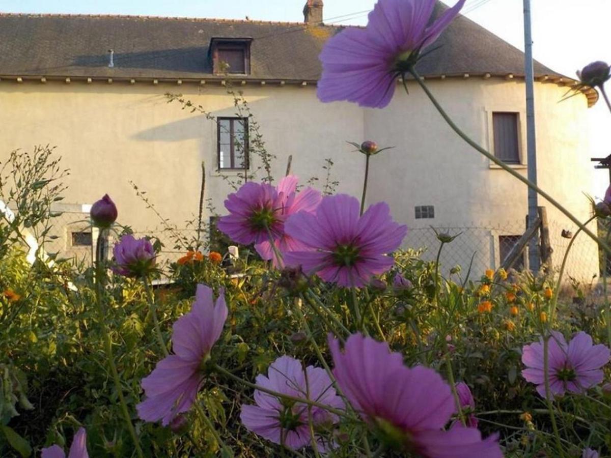 Manoir De La Guignardiere : The Ou Cafe ? Chavagne Dış mekan fotoğraf